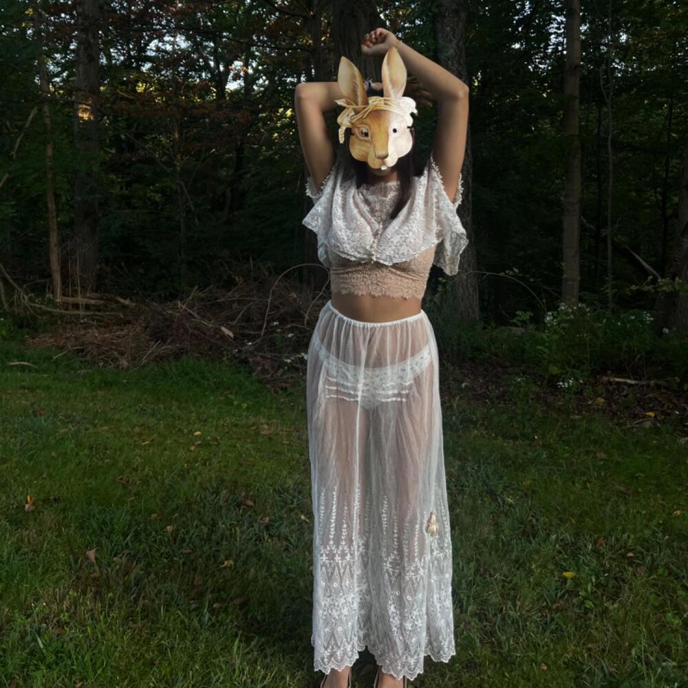 Antique Sheer Embroidered Net Lace Ensemble - image 4